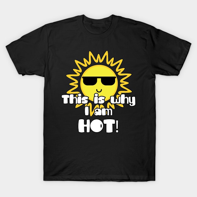 This Is Why I Am Hot! Vacation Gift T-Shirt by Tracy